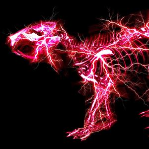 乡村梅姨免费阅读TxT
