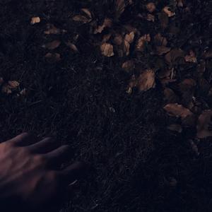 乡村梅姨免费阅读TxT
