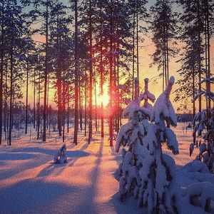 乡村梅姨免费阅读TxT
