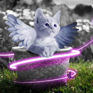 乡村梅姨免费阅读TxT
